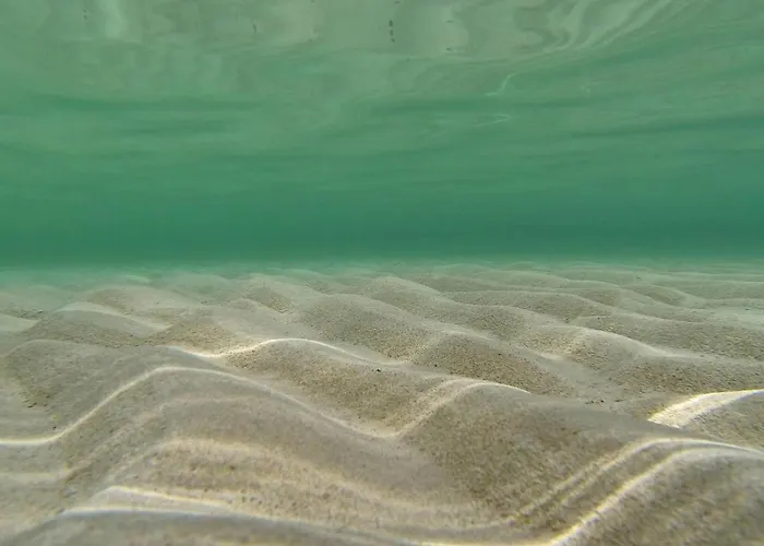 Awesome In With Wifi 普利拉卡