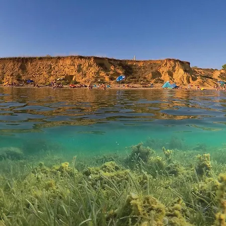 Awesome In With Wifi Appartement