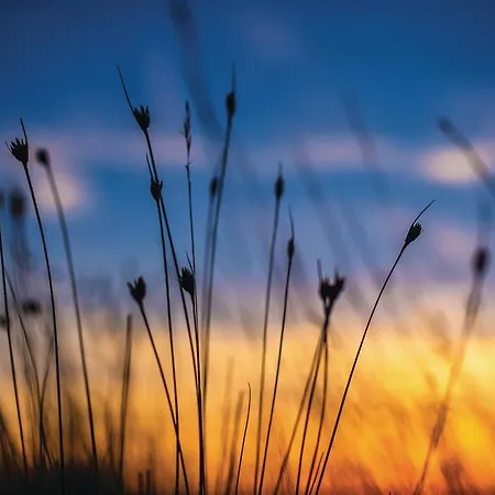 Appartement Awesome In With Wifi Privlaka (Zadar)