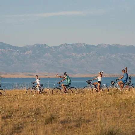 Awesome In With Wifi *