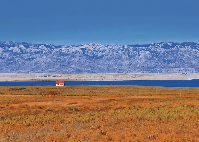 Awesome In With Wifi * Привлака